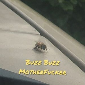 Meet your Posher, Markee